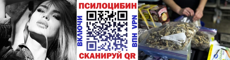 Псилоцибиновые грибы Cubensis  хочу   Камышин 